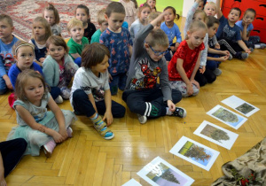 Nazywamy drzewa iglaste i liściaste