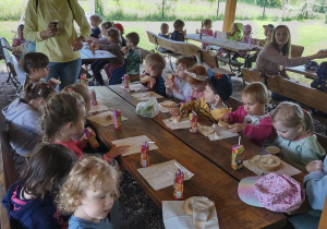 Żabki ze smakiem zajadają pyszne kanapki