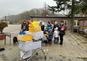 Karma dla zwierząt, która została zawieziona do lokalnego schroniska